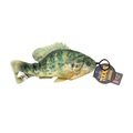 Steel Dog Steel Dog Freshwater Sunfish with Rope 54392